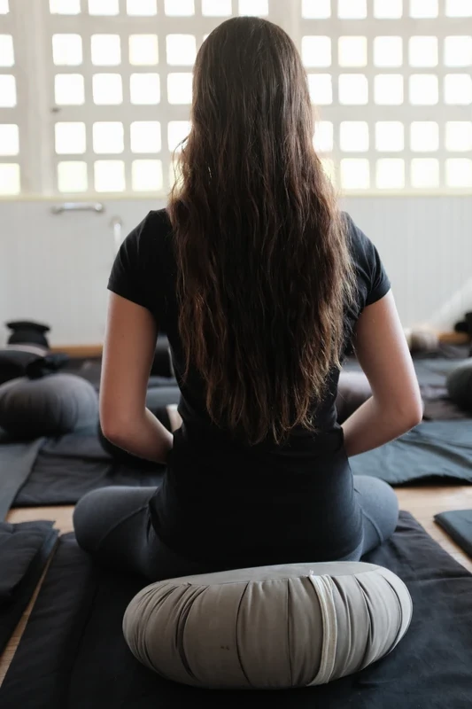 Introduction to zen meditation in Paris.